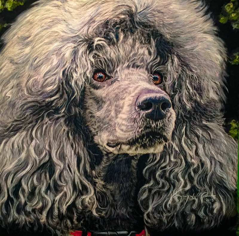 Poodle Dog portrait