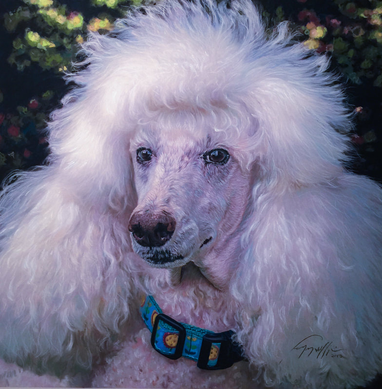Poodle portrait